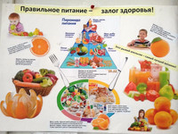 Плакат Правильное питание - залог здоровья